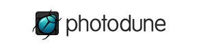 archit-wordpress-theme
